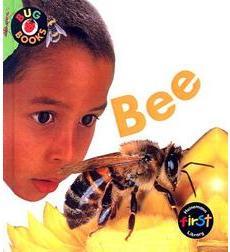 这个关于昆虫的巨大书籍列表对于学龄前的昆虫主题非常重要！（奖金......也让关于蜘蛛的书！）