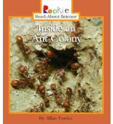 这个关于昆虫的巨大书籍列表对于学龄前的昆虫主题非常重要！（奖金......也让关于蜘蛛的书！）