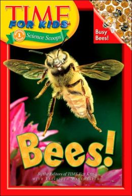 这个关于昆虫的巨大书籍列表对于学龄前的昆虫主题非常重要！（奖金......也让关于蜘蛛的书！）