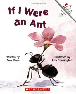 这个关于昆虫的巨大书籍列表对于学龄前的昆虫主题非常重要！（奖金......也让关于蜘蛛的书！）