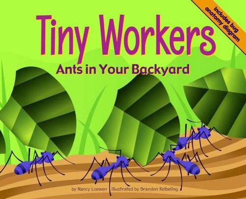 这个关于昆虫的巨大书籍列表对于学龄前的昆虫主题非常重要！（奖金......也让关于蜘蛛的书！）