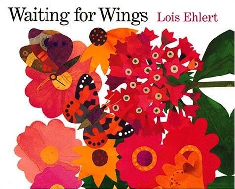 这个关于昆虫的巨大书籍列表对于学龄前的昆虫主题非常重要！（奖金......也让关于蜘蛛的书！）