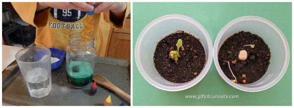 这些是来自A-Z的学龄前儿童最喜欢的科学实验！