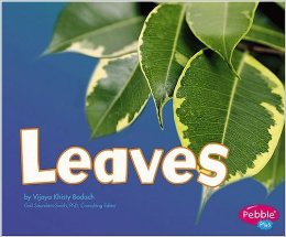 LEAFBOOK4.