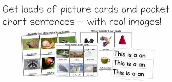 寻找学前和幼儿园的冬季主题创意?看看这个300多页的高质量学习资源包!你会找到企鹅主题的想法，一个北极动物学前主题，以及更多!