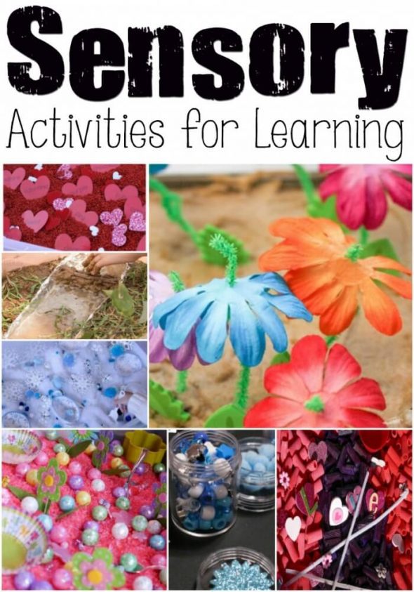 学习的感官活动