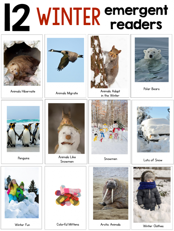 寻找学前和幼儿园的冬季主题创意?看看这个300多页的高质量学习资源包!你会找到企鹅主题的想法，一个北极动物学前主题，以及更多!