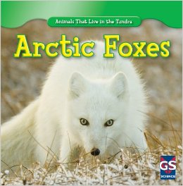 只是我想要和我们的北极动物主题一起去！