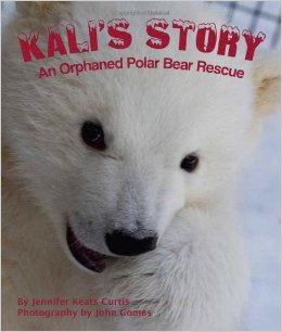 只是我想要和我们的北极动物主题一起去！