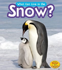 只是我想要和我们的北极动物主题一起去！