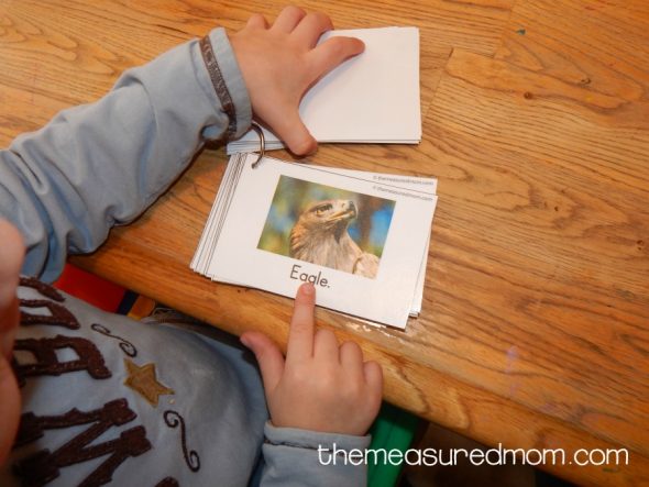 打印活动的这种概念与森林动物主题相吻合。