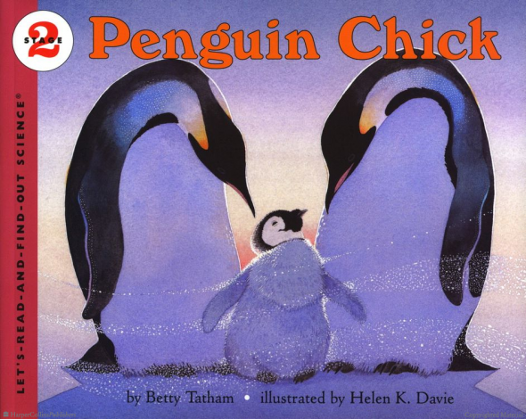 关于企鹅的这些书将与我的学前冬季主题一起出现伟大的！