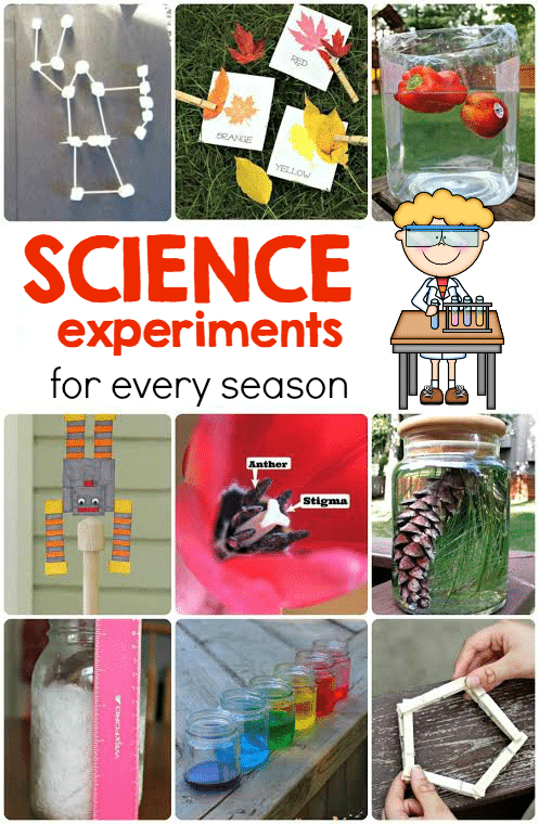 这一系列的科学实验和STEM活动会让你在一年中的每个月都有事可做!